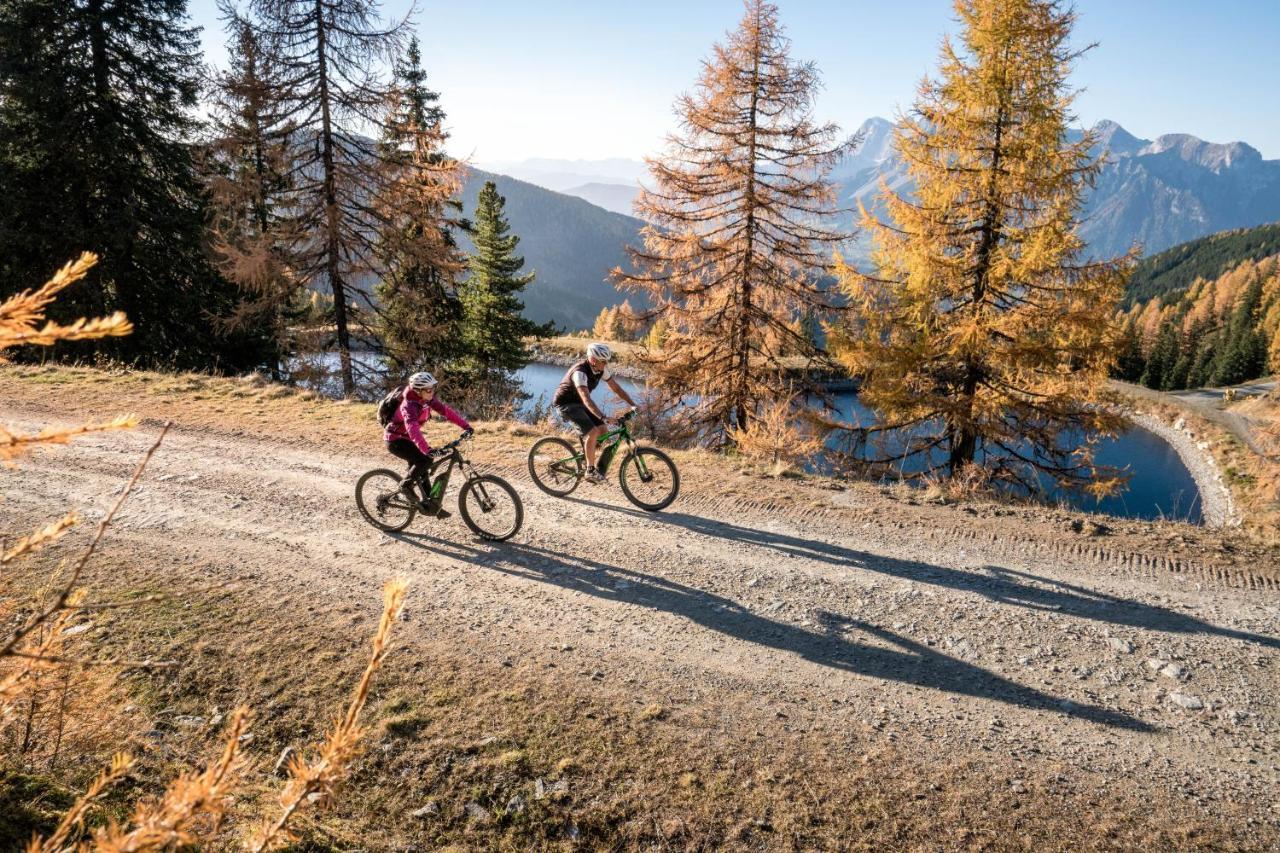 Schafalm Dahoam Schladming Luaran gambar
